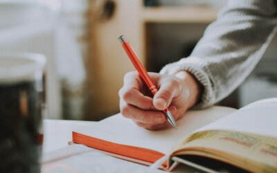 Alpha-lecteur ou bêta-lecteur, que choisir pour votre manuscrit ?